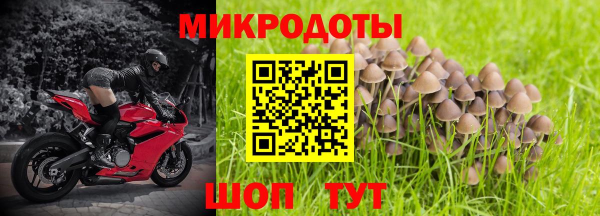 Псилоцибиновые грибы прущие грибы Светлоград